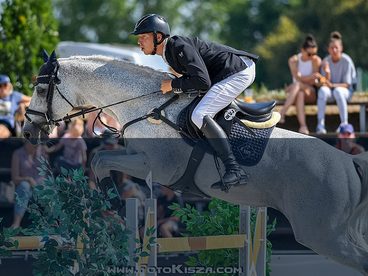 Režim sportovních koní