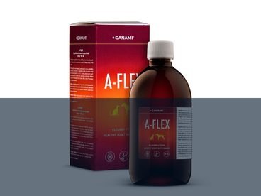 Účinný pomocník při problémech pohybového aparátu psů