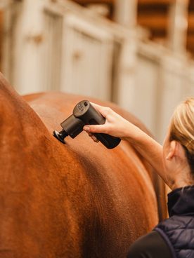 Super dárek k Vánocům A Wellness pro koně? Jasně, že ano! 💆‍♂️💙