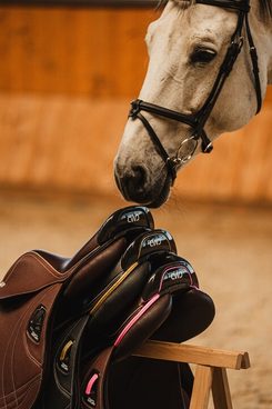 ✨ Věděli jste, že sedla CWD si můžete doladit přesně podle svého přání? 😍