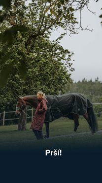 🌧️Venku počasí, že by psa nevyhnal, ale koně se sami neobstarají. 🤷‍♀️