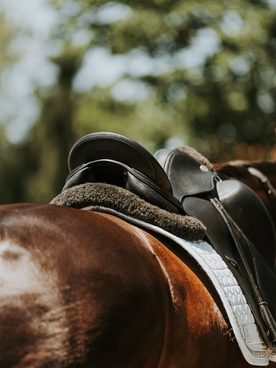 🐴 Hledáte drezurní sedlo, které bude opravdu sedět vám i vašemu koni?