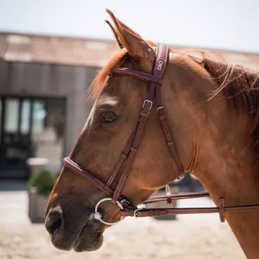 Otěže CWD RE17C pogumované se zarážkami