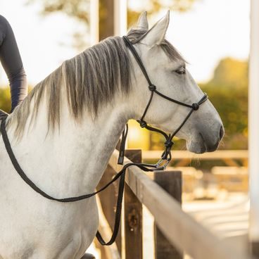 Vodítko HKM Neon Flash s klasik karabinou