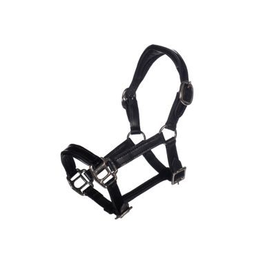 Ohlávka kožená HKM Hobby Horse Lak