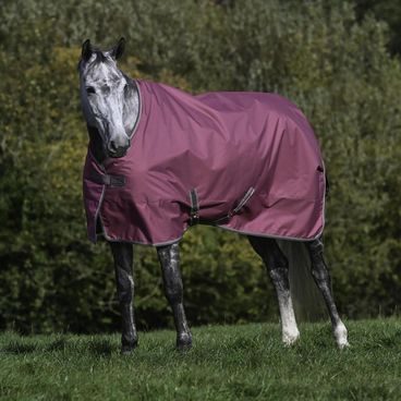 Deka výběhová Horze Glasgow 0g