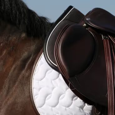 Kentucky Tendon Grip Gel Sock