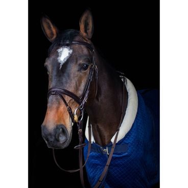 Uzdečka Kentaur Savannah a.k.n.