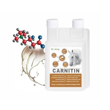 Dromy L-Carnitin sirup 1L