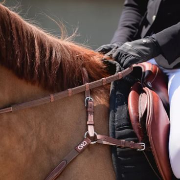 Otěže CWD RE17H Raised pogumované se zarážkami