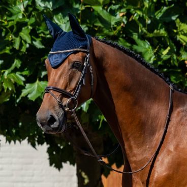 Čabraka na uši Equestrian Stockholm Line Midnight Blue Kolekce 2026