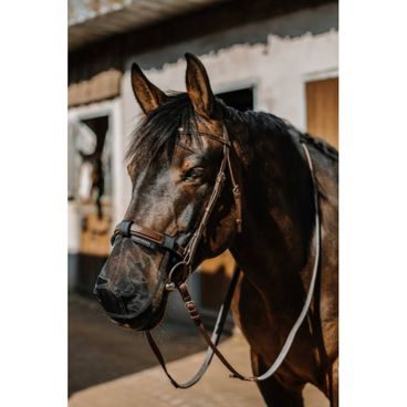 Síťka na nozdry EquiTheme Anti UV