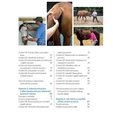 Publ Krasek Hobby horsing