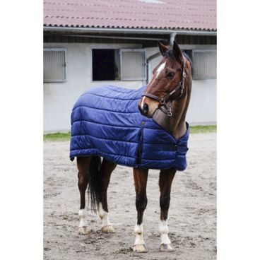 Poddeka Equitheme Classic 200g