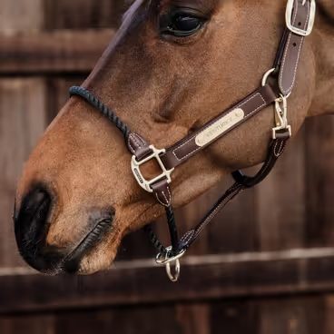 Ohlávka Equestrian Stockholm Anatomic Glimmer Leather Kolekce 2025/26