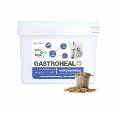 Dromy Gastro Heal MASH