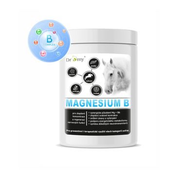 Dromy Magnesium B 3kg - 300 denních dávek