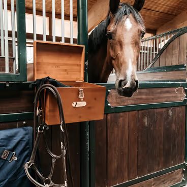Bedna na čištění na box Kentucky Stable Tack box