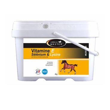 Horse MASTER Vitamin E + Selen + Lysin Powder 1 kg