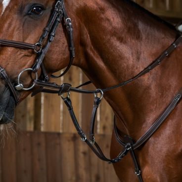 Uzdečka Dy'on Plaited flash Noseband