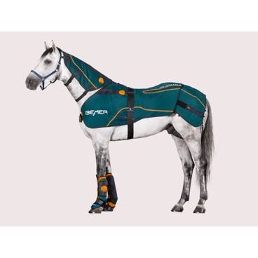BEMER Horse-Set Premium