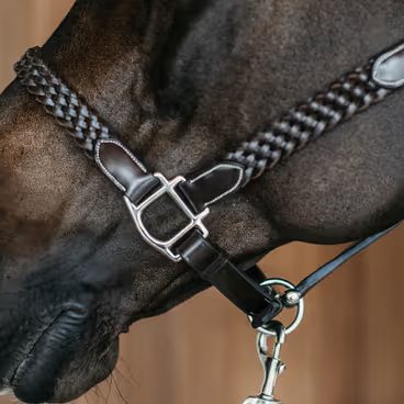 Vodítko kožené Dy'on Working Plaited