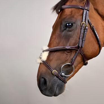 Uzdečka Dy'on Double Noseband DYAAAH