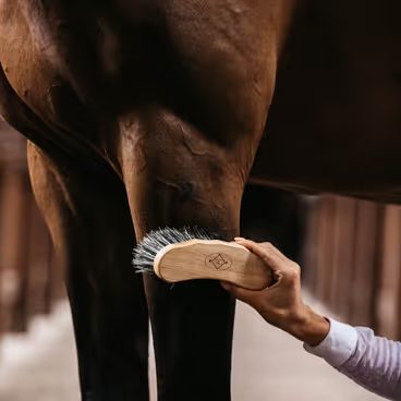 Kartáč Kentucky middle hard