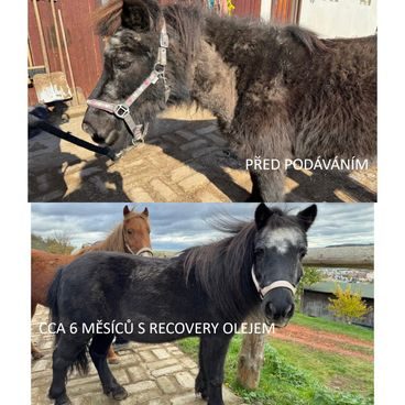 Dromy Ostropestřec + Spirulina 3 kg