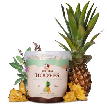 Pamlsky Candy Horse Kopýtka Ananas a šajvěj 500g