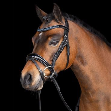 Uzdečka Imperial Riding Petit švédský nánosník Kolekce 2024/25