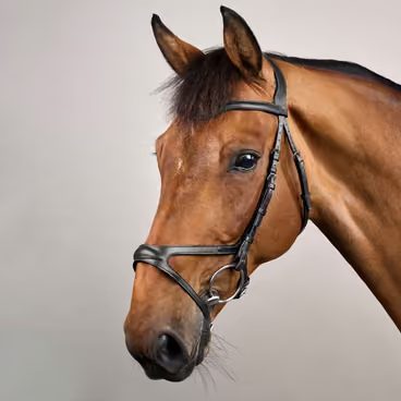 Martingal Dy'on Yoke NE07F