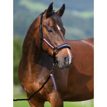 Ohlávka s vodítkem Tommy Hilfiger Equestrian Yale Kolekce 2026