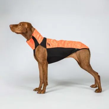Deka na psa Back On Track BARK Visibility Suit