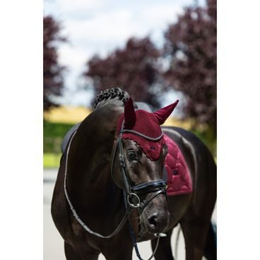 Čabraka na uši Equestrian Stockholm Satin Merlot Kolekce 2026/27
