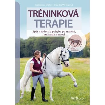 Publ Möller Weingand Tréninková terapie