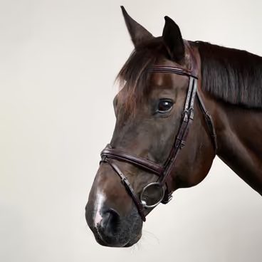 Uzdečka Dy'on Double Noseband DYAAAH