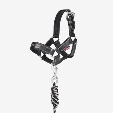 Ohlávka s vodítkem LeMieux Toy Pony Leather Kolekce 2026