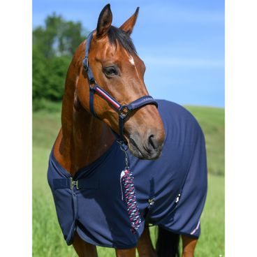 Ohlávka a vodítko Tommy Hilfiger Equestrian Yale Kolekce 2025