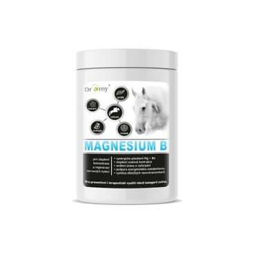 Dromy Magnesium B - 100 denních dávek