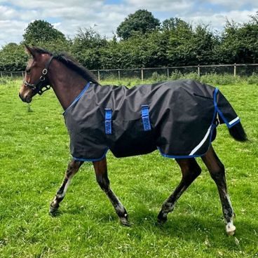 Deka stájová Horseware Amigo Ripstop Insulator Plus 550g