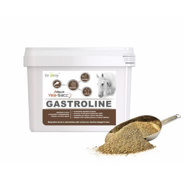 Dromy Gastroline 3 kg