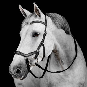Uzdečka Horseware Micklem Deluxe Competition