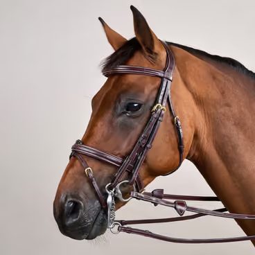 Uzda Dy'on Flash Noseband Double DYLAAA