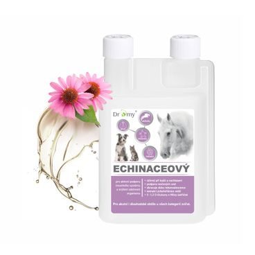 Dromy Echinaceový sirup 1 l