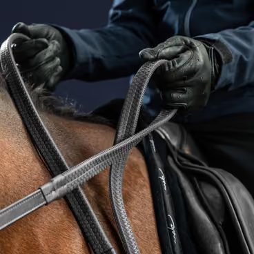 Lícnice Dy'on Double Bridle Adaptable DY03E