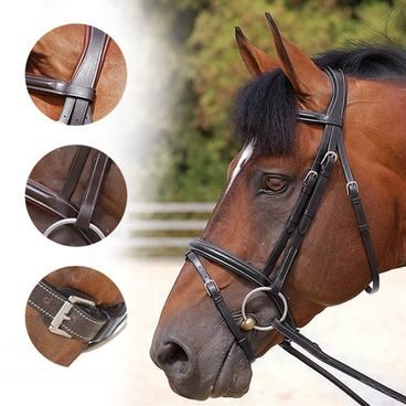 Uzdečka Dy'on Working Classic WOAAHL Full černá POUŽITÁ Z FOCENÍ