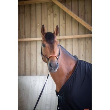 Deka lehká stájová / odpocovací Paddock Sport DOPRODEJ