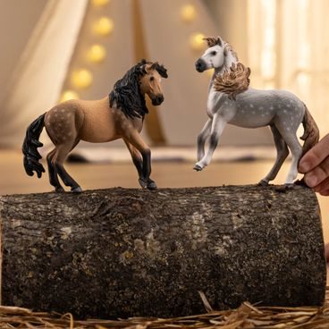 Schleich 42752 - Péče o koně s trakénským hříbětem, hrací sada