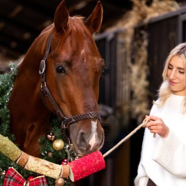 Lízací podložka pro koně Excellent Horse